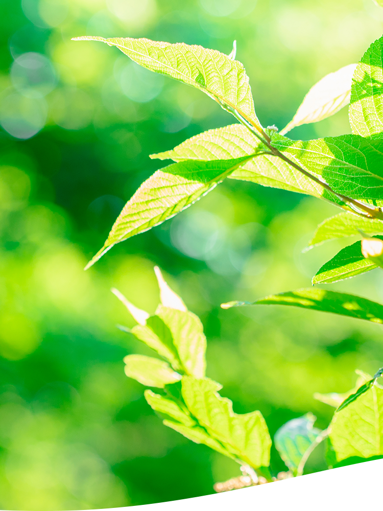 大森西メンタルクリニック